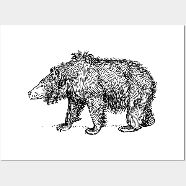 Sloth Bear Wall Art by scdesigns